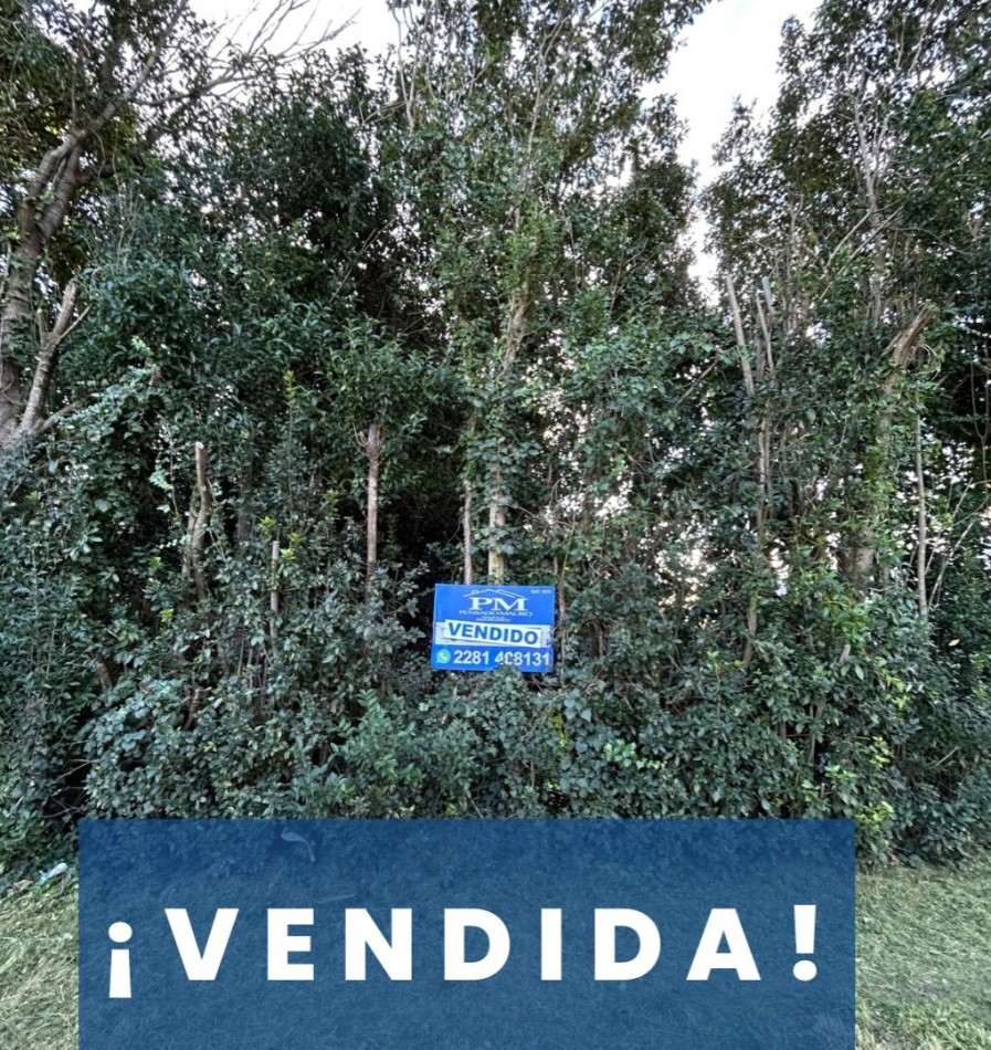 TERRENO EN VENTA / VENDIDO