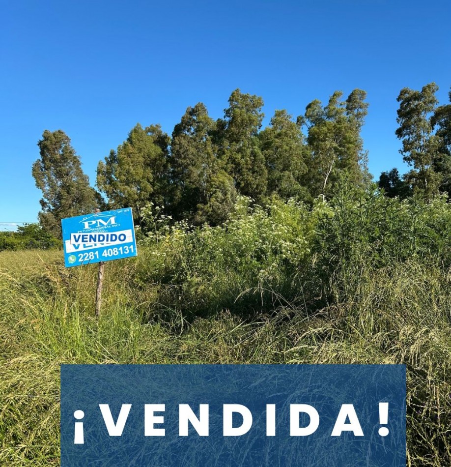 TERRENO EN VENTA, ZONA QUINTA / VENDIDO