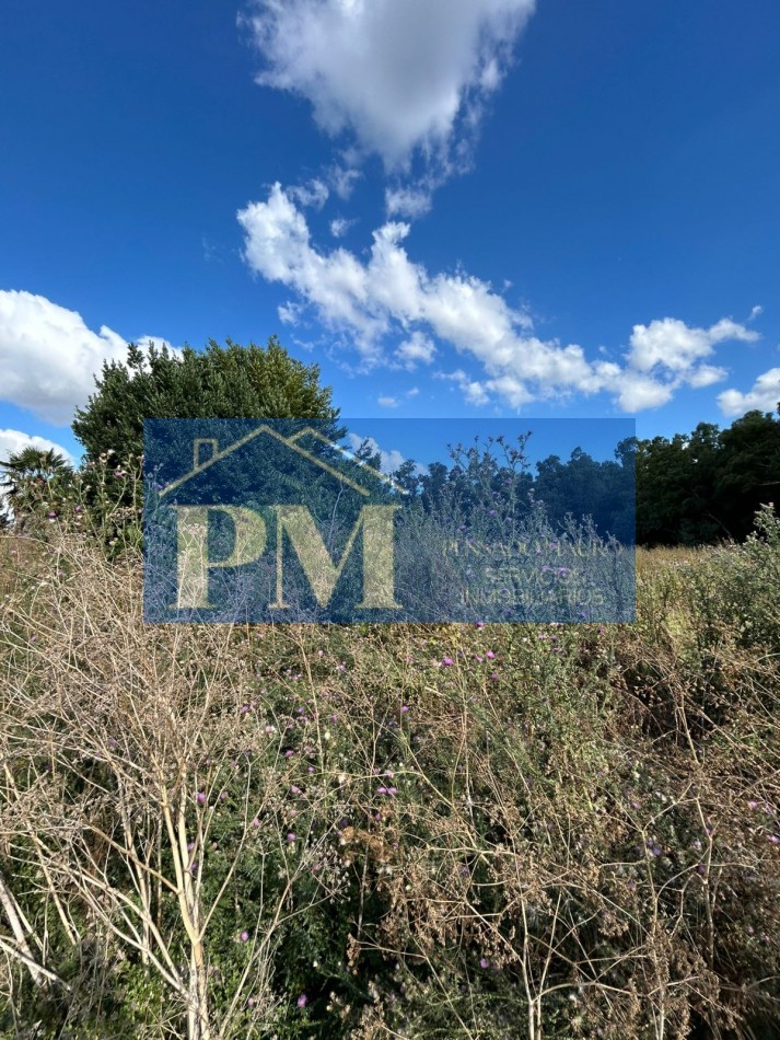 TERRENO EN VENTA, TAPALQUE 