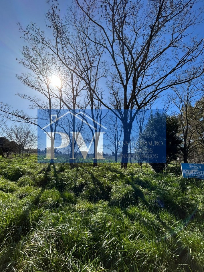 TERRENO EN VENTA, CROTTO