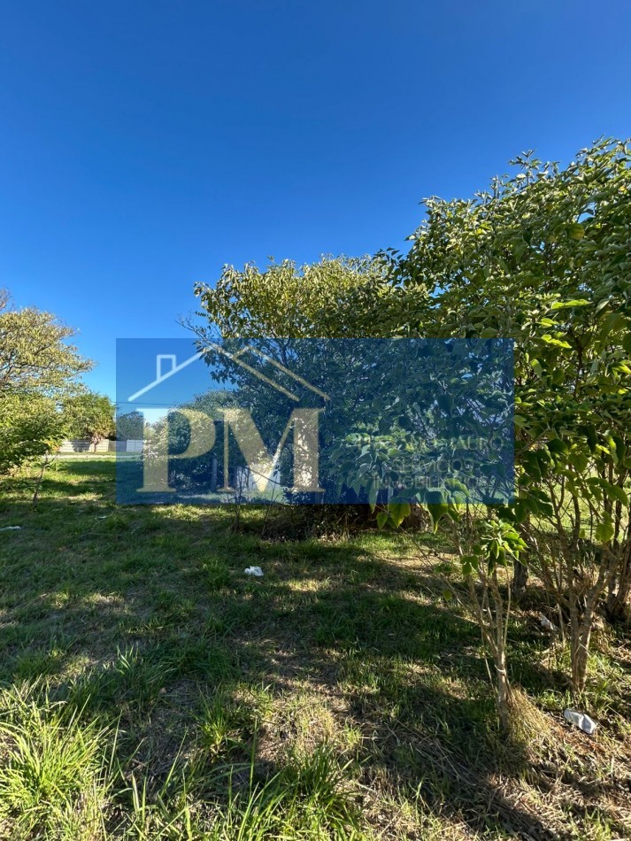 AMPLIO TERRENO EN VENTA, TAPALQUE 