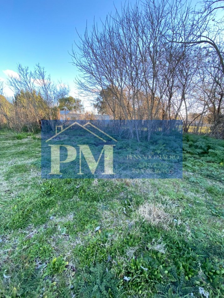 DEPTOS CON AMPLIO TERRENO EN VENTA