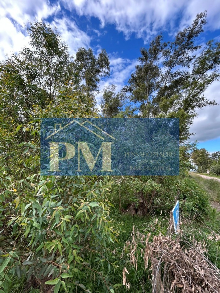 TERRENO EN VENTA, TAPALQUE 