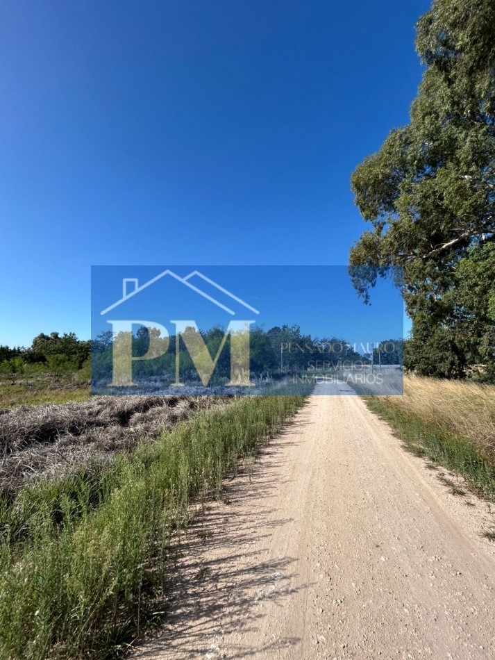 QUINTA CON CASA EN VENTA, TAPALQUE 