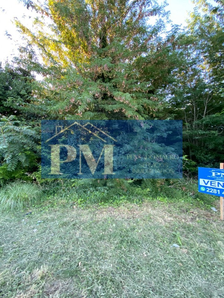 TERRENO EN VENTA