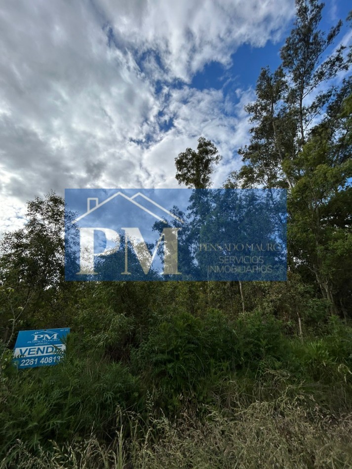 TERRENO EN VENTA, TAPALQUE 