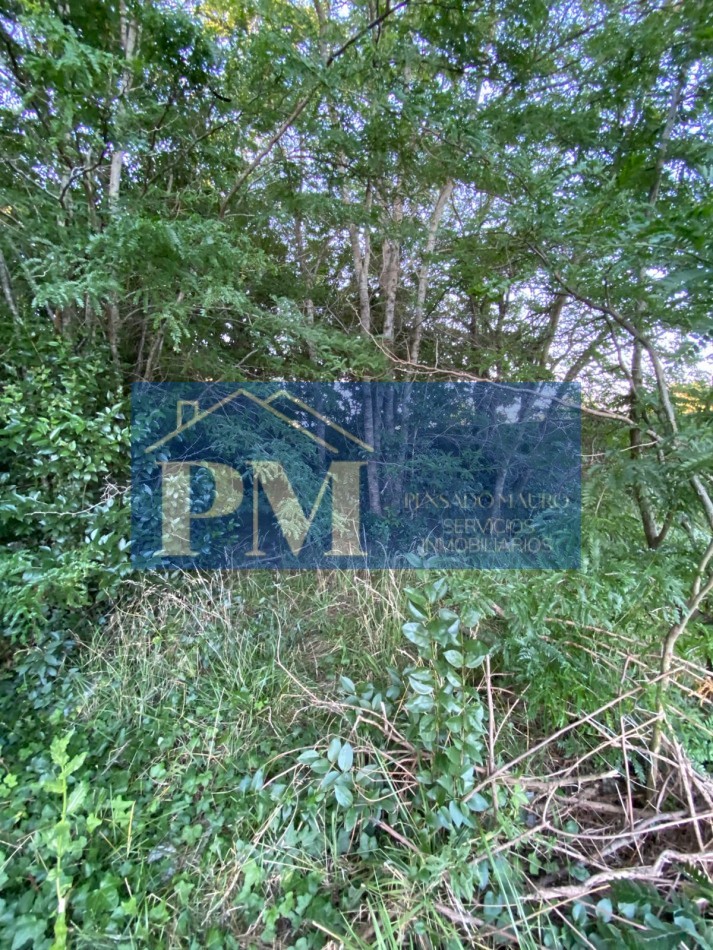 TERRENO EN VENTA