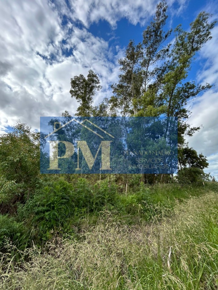 TERRENO EN VENTA, TAPALQUE 