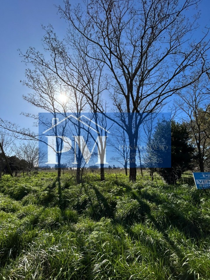 TERRENO EN VENTA, CROTTO