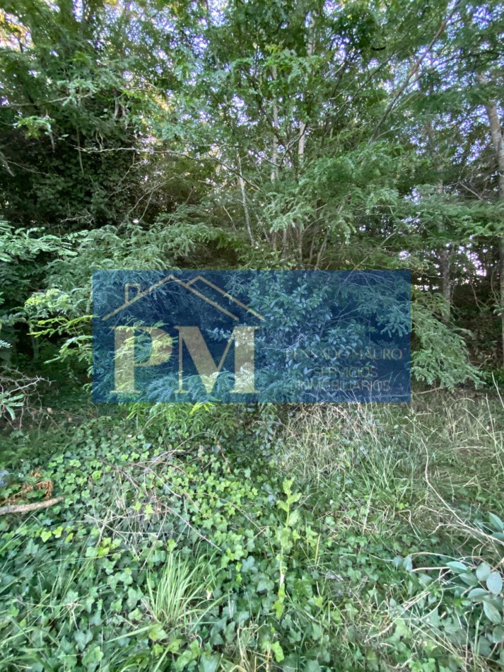 TERRENO EN VENTA