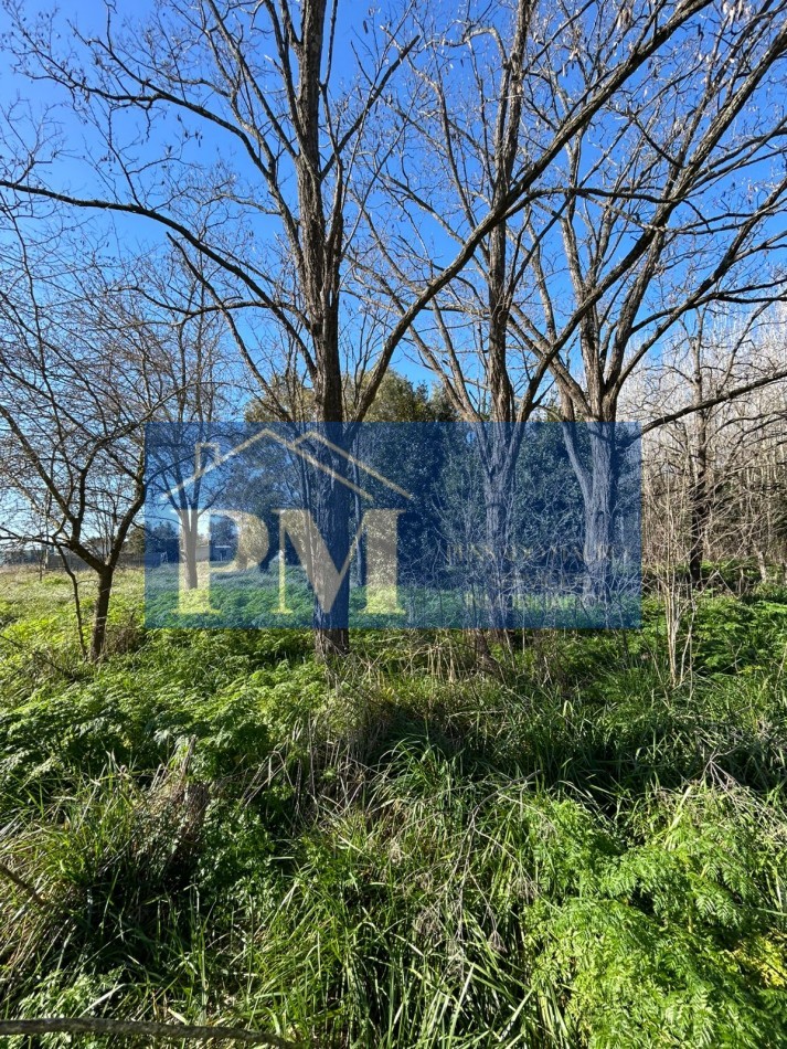 TERRENO EN VENTA, CROTTO