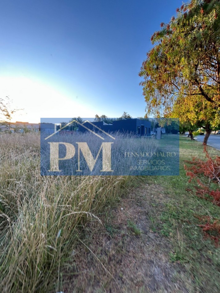 TERRENOS EN VENTA