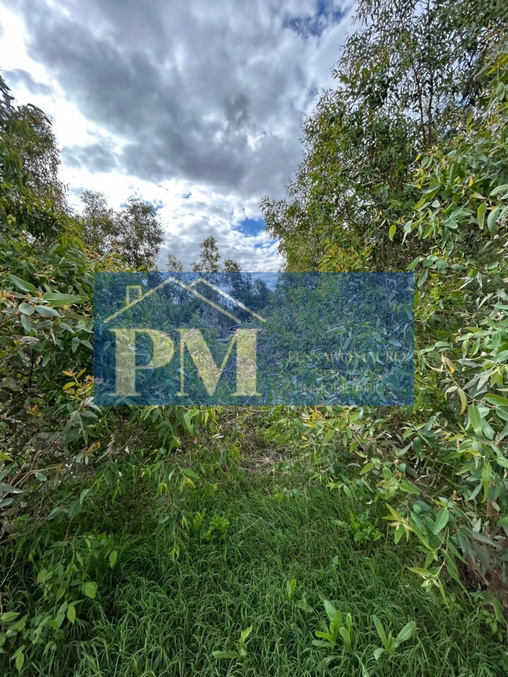 TERRENO EN VENTA, TAPALQUE 