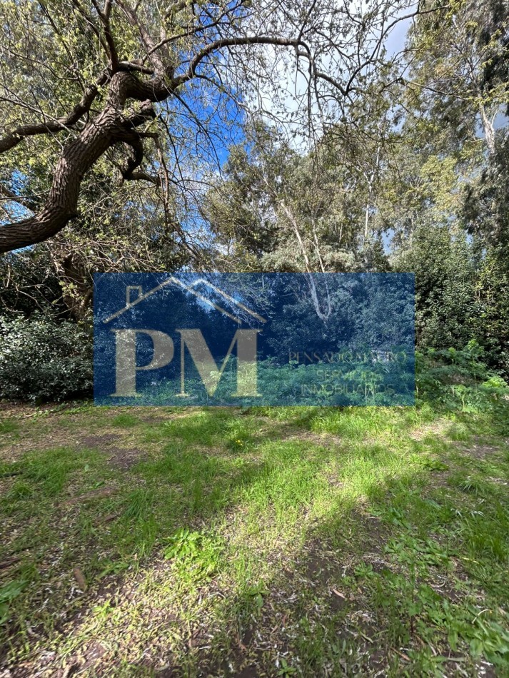 PROPIEDAD EN VENTA, TAPALQUE 