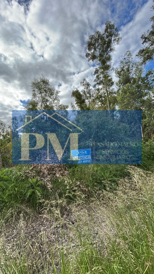 TERRENO EN VENTA, TAPALQUE 