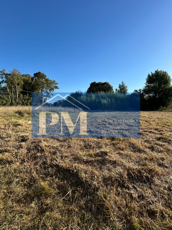TERRENOS EN VENTA