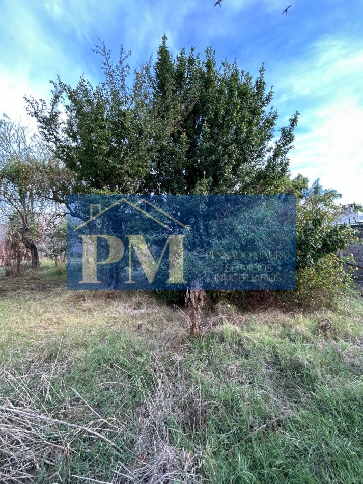 PROPIEDAD CENTRICA A RECICLAR EN VENTA, TAPALQUE 