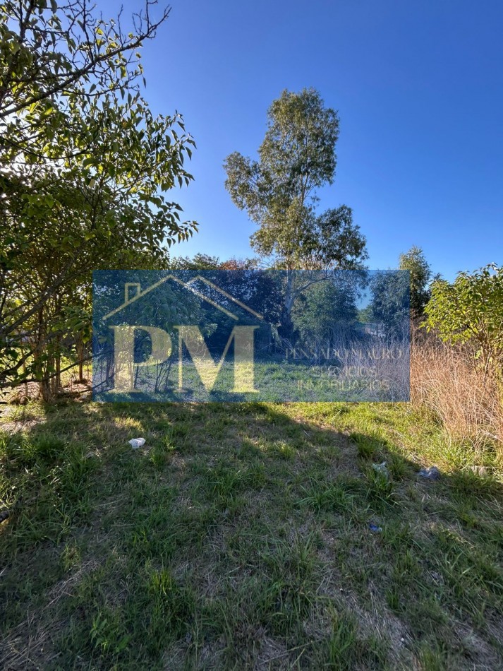 AMPLIO TERRENO EN VENTA, TAPALQUE 