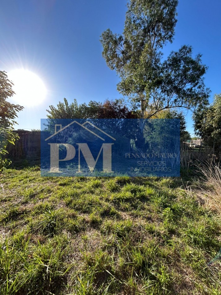 AMPLIO TERRENO EN VENTA, TAPALQUE 