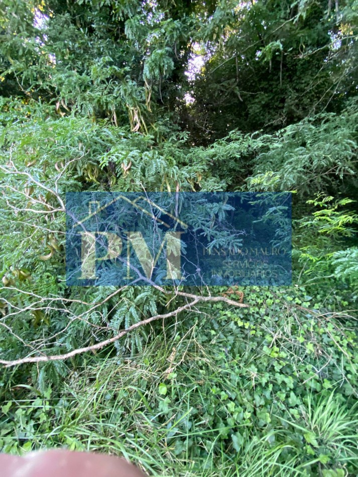 TERRENO EN VENTA