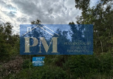 TERRENO EN VENTA, TAPALQUE 