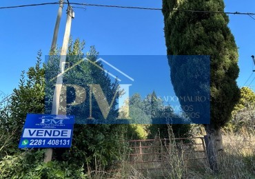 QUINTA CON CASA EN VENTA, TAPALQUE 